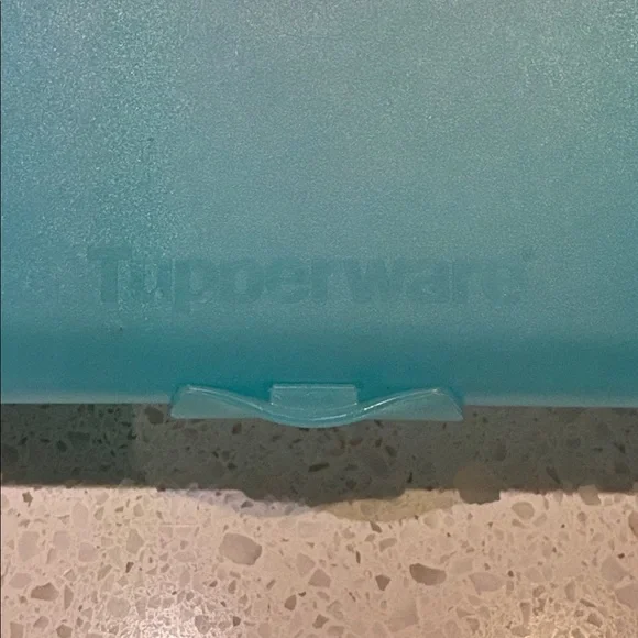 Tupperware Lunch N Things Divided Container - Picture 3 of 6